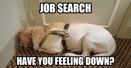 TheChoiceDC's tweet image. Check us out! #dcjobs #nonprofits #bestofthebest thechoiceinc.com/careerportal/#…