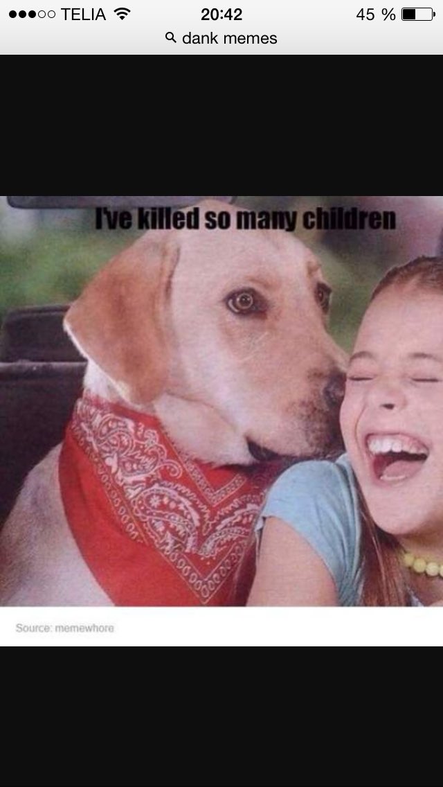 XzerfCS's tweet image. LOL