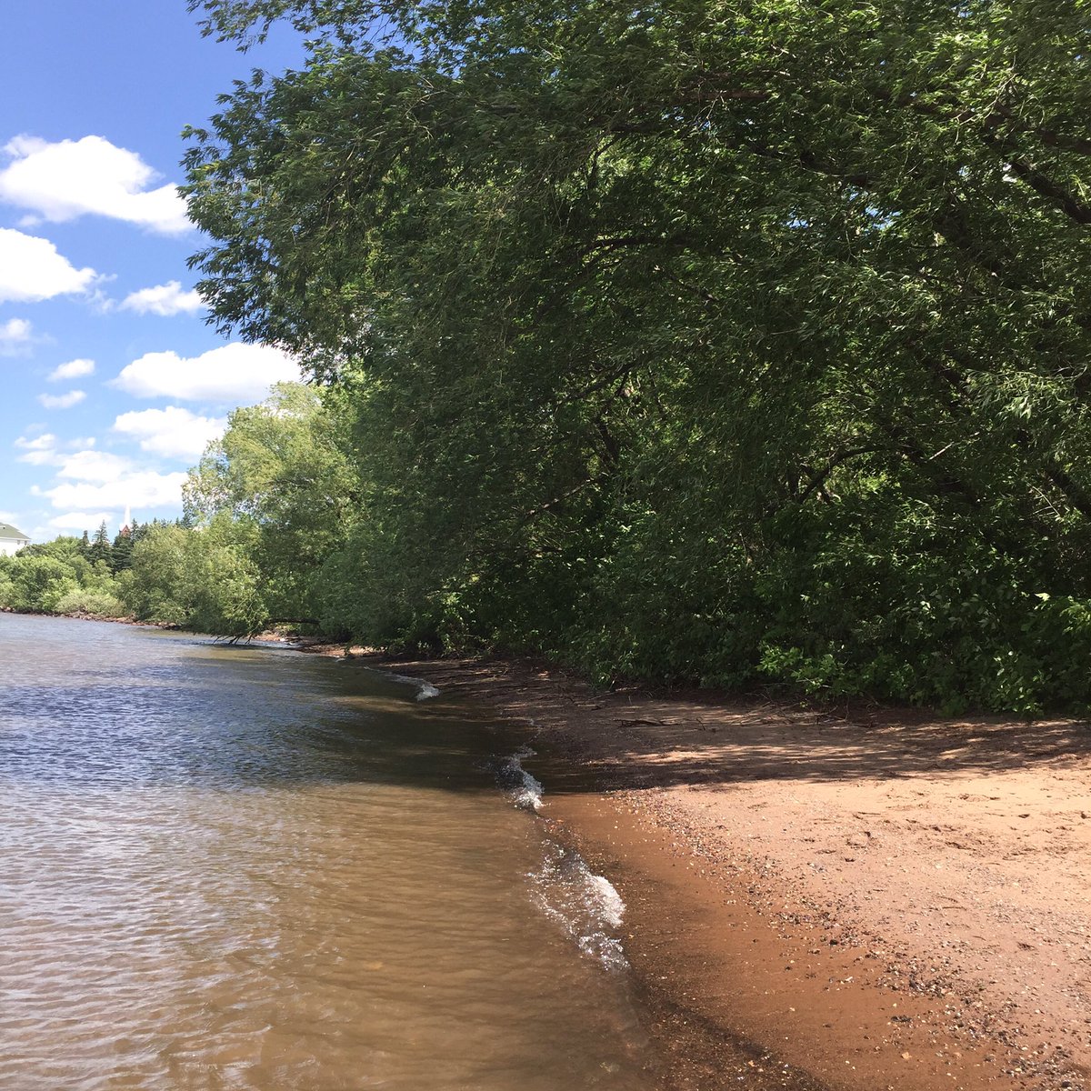 remarkieablewi's tweet photo. #chequamegonbay #wisconsin #lakesuperior #ashland #ashland_wi #beaut #neature #nature https://t.co/mjt7xm1GXH