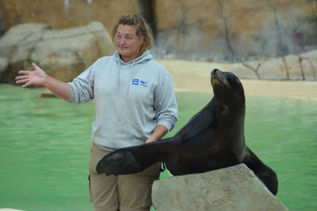 LarkholmeSchool's tweet photo. We had an amazing day today @BlackpoolZoo here are some pictures. https://t.co/SapFPZRAYn