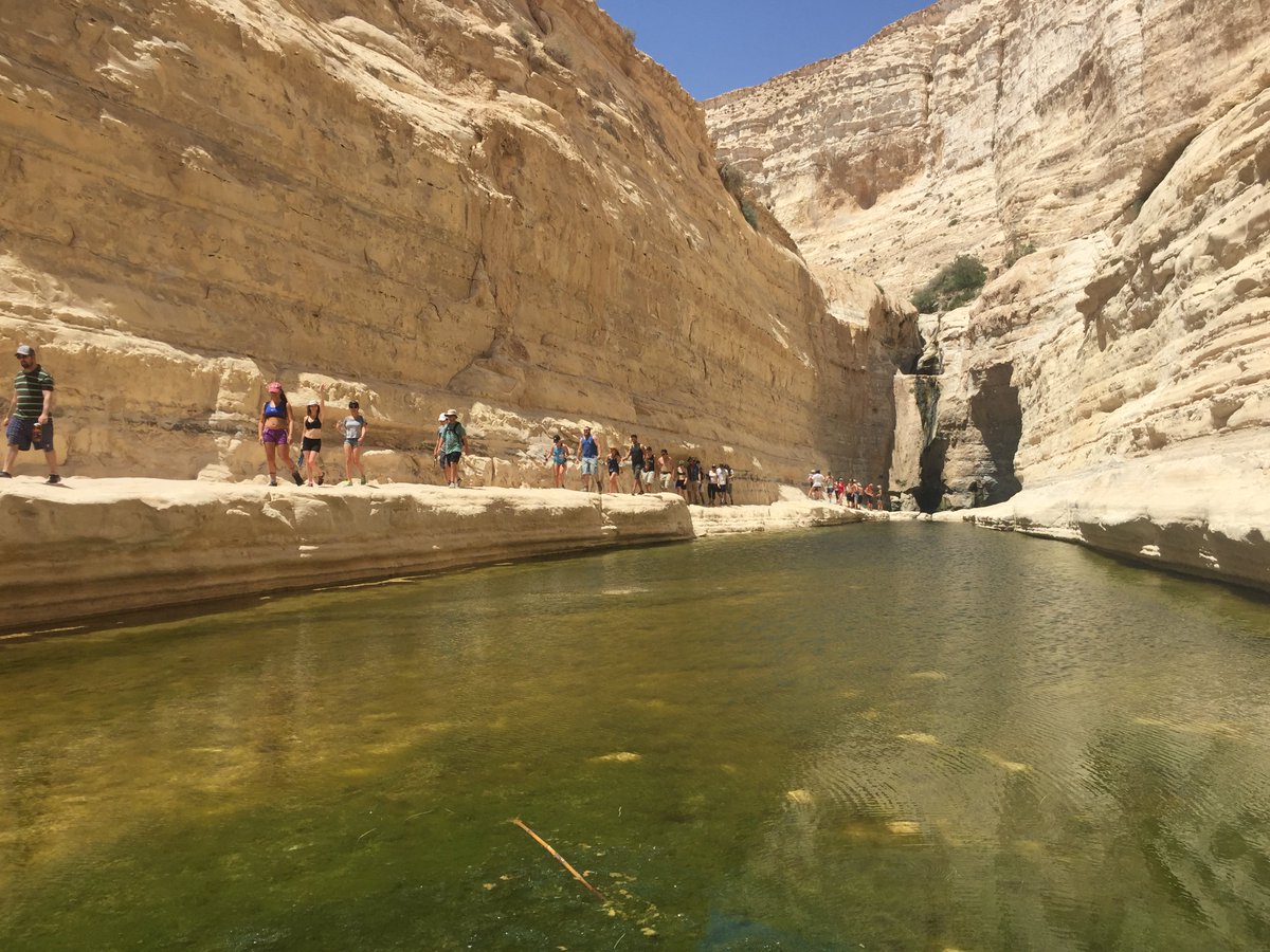 IsraelOutdoors's tweet photo. #IsraelOutdoors #Bus222 hiking through the beautiful desert canyons of Ein Ovdat https://t.co/1nS17CoHVt