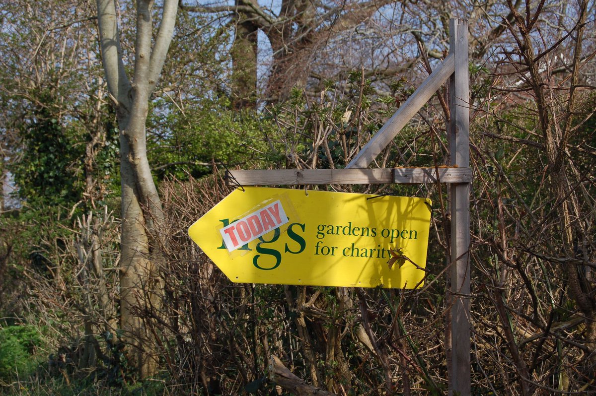 ngsdorset's tweet photo. Big thanks to our garden owners today for attending our t party and thanks to Domineys yard for hosting. https://t.co/8VFY06pUYM