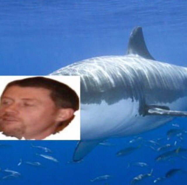 WhatsGuccii's tweet photo. Its not #SharkWeek its #ClarkWeek #NeverForget https://t.co/oQh9b20HCP