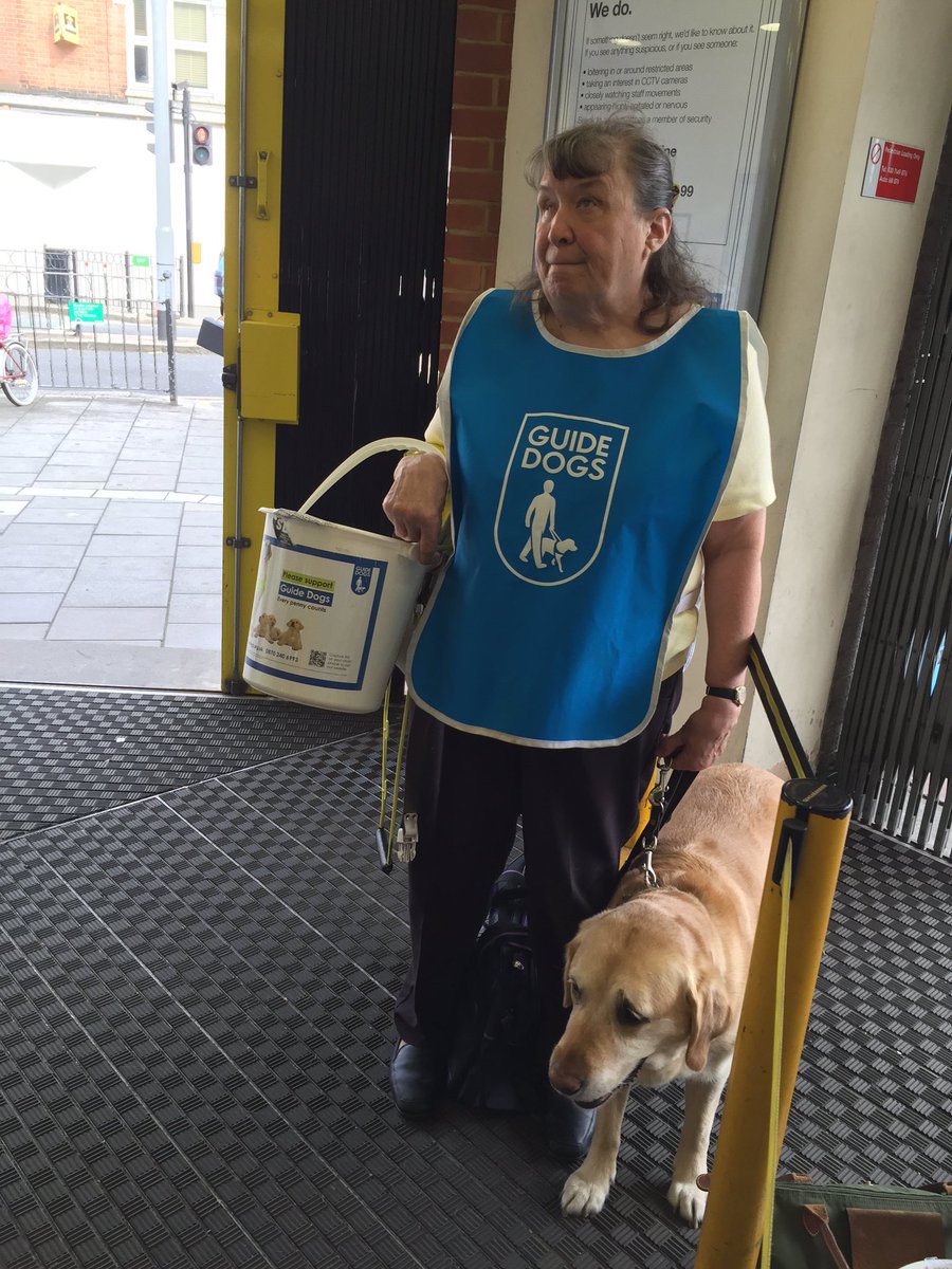 HanCharlG's tweet image. Collecting for @guidedogs at #Southfields lovely willow making friends