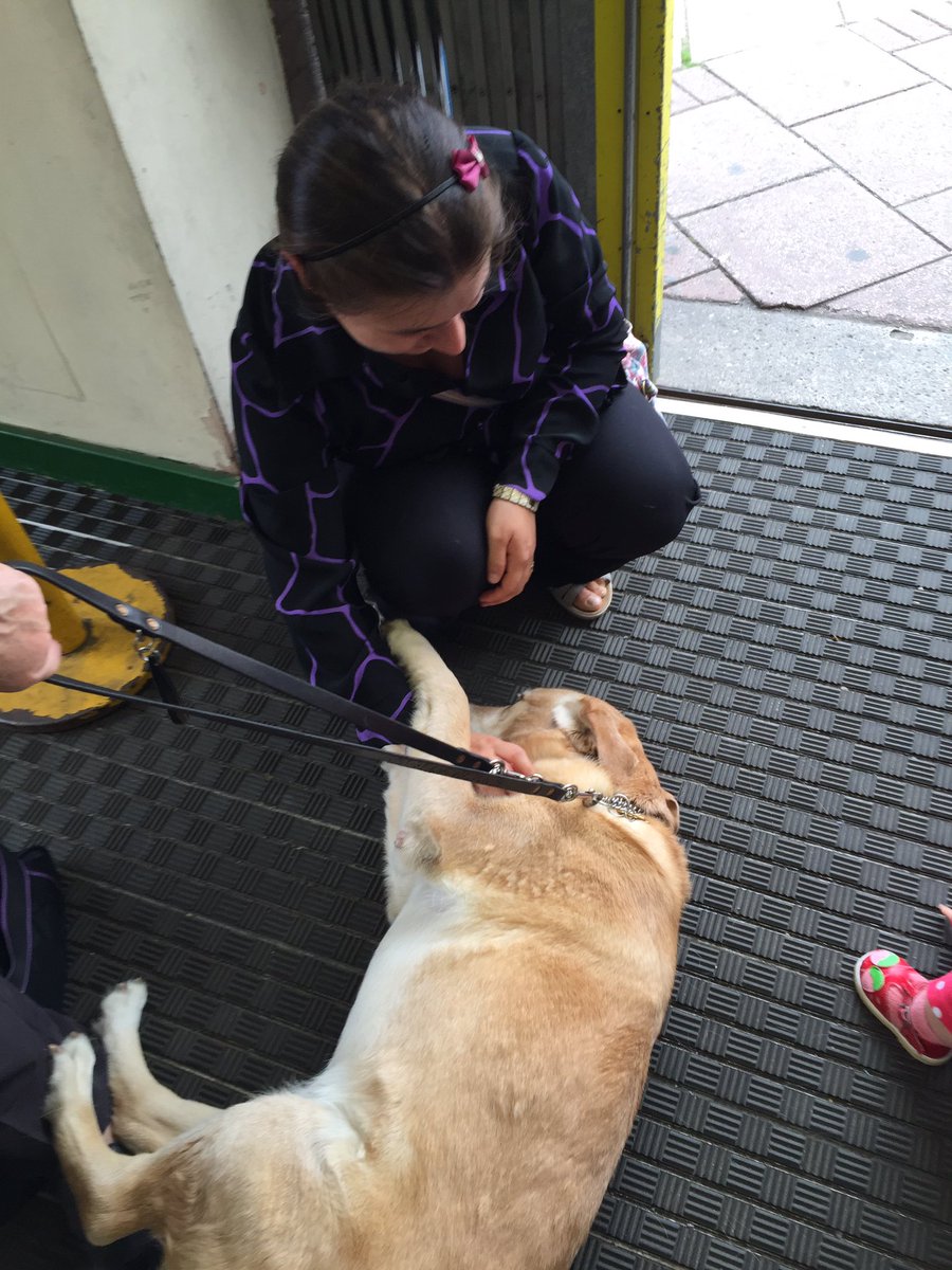 HanCharlG's tweet image. Collecting for @guidedogs at #Southfields lovely willow making friends