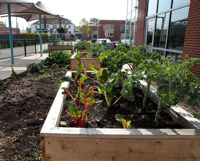 dcpublicschools's tweet photo. The workforce development center at @RiverTerraceEC means a greenhouse and garden for horticulture students! https://t.co/RhEUuy8bF3