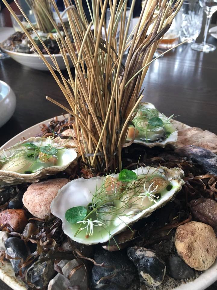 Adam Fleischman tweet media