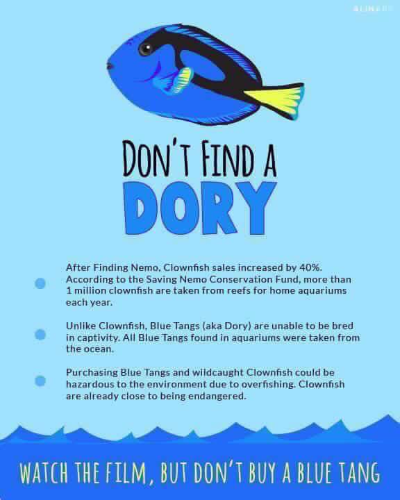 conserveturtles's tweet photo. 30 MILLION wild fish are taken off reefs each year for aquariums (via @savenemo) #FindingDory https://t.co/ZrlAxkUZ80
