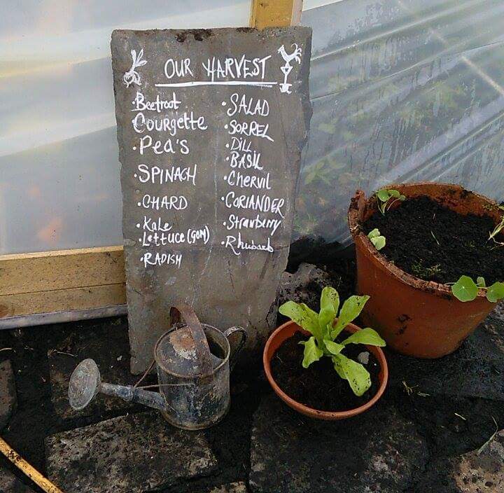 MoyHouseFarm tweet media