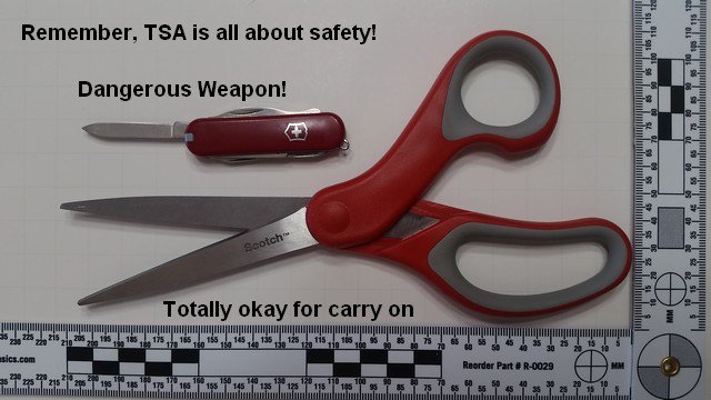 Facts outweigh feelz ❌ 🍊 tweet media