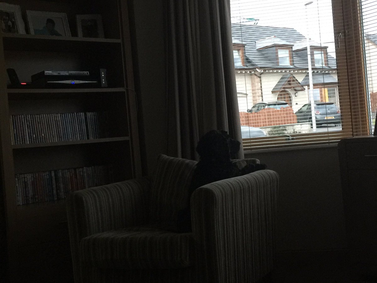 AKA_The_Baggio's tweet photo. Dog has right idea about this game ....and her farts proving more insight than clive tyldesley #thisgamestinks https://t.co/qlrMesvjRl