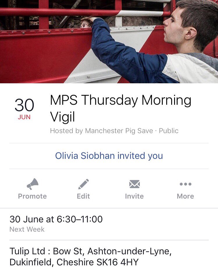 Our next vigil is now in the diary. Come and show your love to the pigs, do not turn away. #vegan #manchesterpigsave