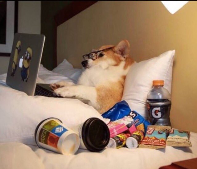 c_harland_'s tweet image. Stepped off the world today. This kinda sums it up ☺️