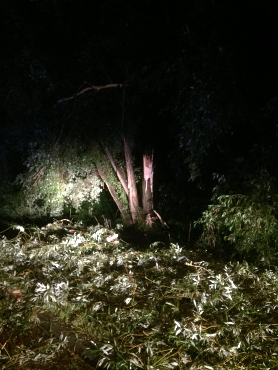 realstormabi's tweet photo. Im Landkreis Anhalt-Bitterfeld sind viele #Sturmschäden zu verzeichnen. Hier ein #Blitzeinschlag in einem Baum. https://t.co/69OFRVpaPm