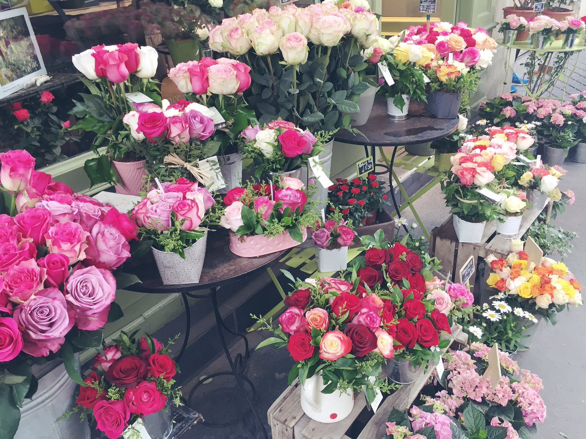 Shelby O'Connor tweet media