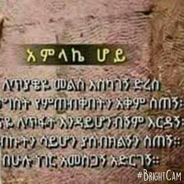 TeferaHirut's tweet photo. https://t.co/PnE2QwX7hu