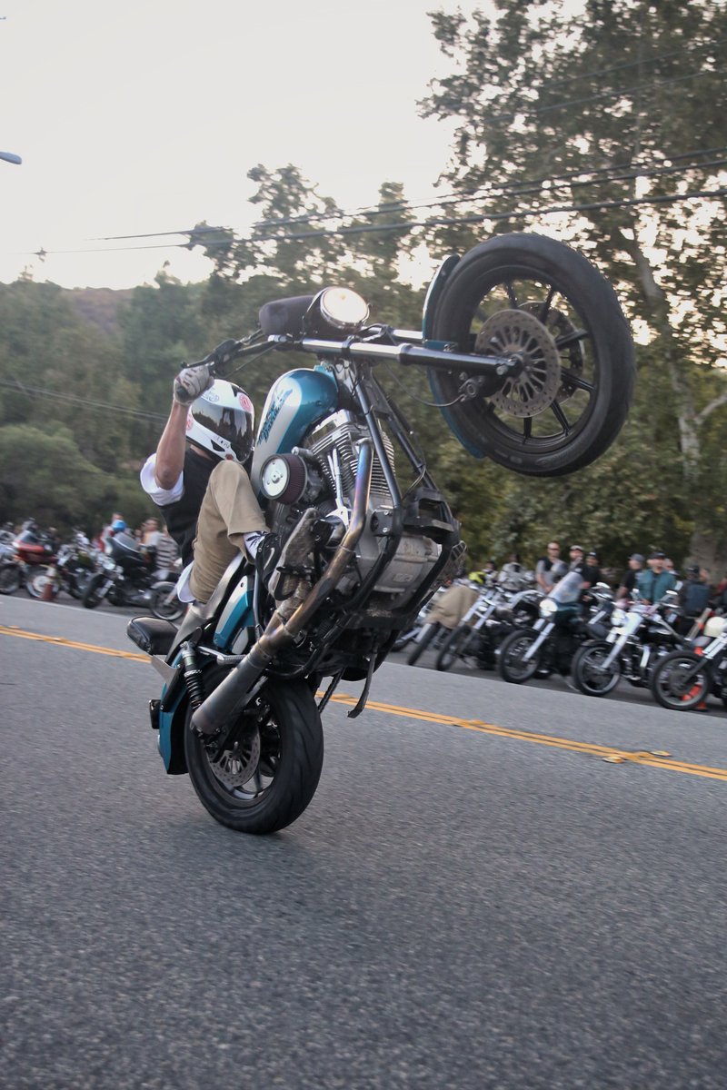 LowbrowCustoms's tweet photo. This guy was wheelie having a good time at Cooks Corner ahahha. #wheelie #punitentiary #bornfree https://t.co/sv29EIVPwt