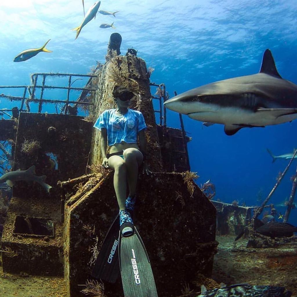 scubadivingmag's tweet image. Repost from our friends at @stuartcovesdive in the Bahamas!! #scubadivingmag #scubadiving … ift.tt/28Uq37H