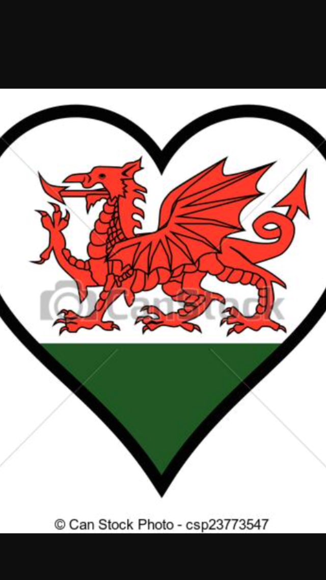 SarahMorgan07's tweet photo. Not the best game of football but well done lads, so proud ❤️ #Euros2016 #TogetherStronger https://t.co/70iZJ2z3fb