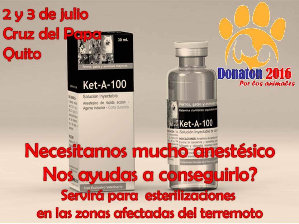 Ven a la #Donaton2016 en el Parque la carolina sector cruz del Papa este sábado 2 y domingo 3 de julio dsde las 10am