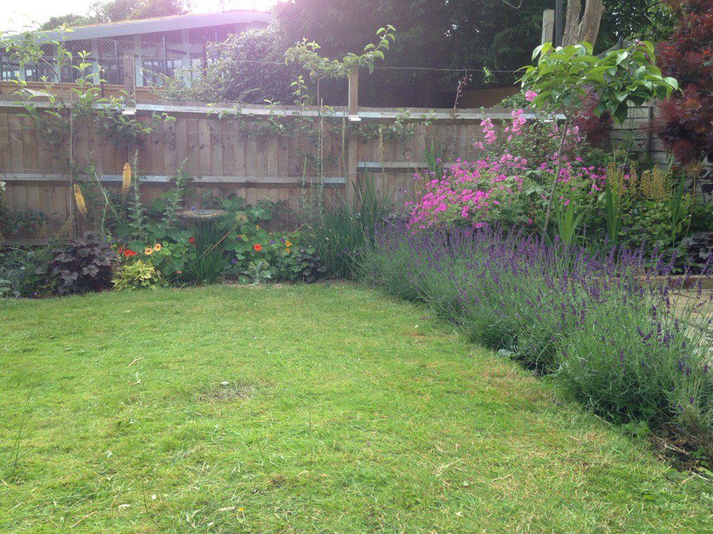 K8Boshier's tweet photo. Lov'n my garden https://t.co/8mlHm80dc3