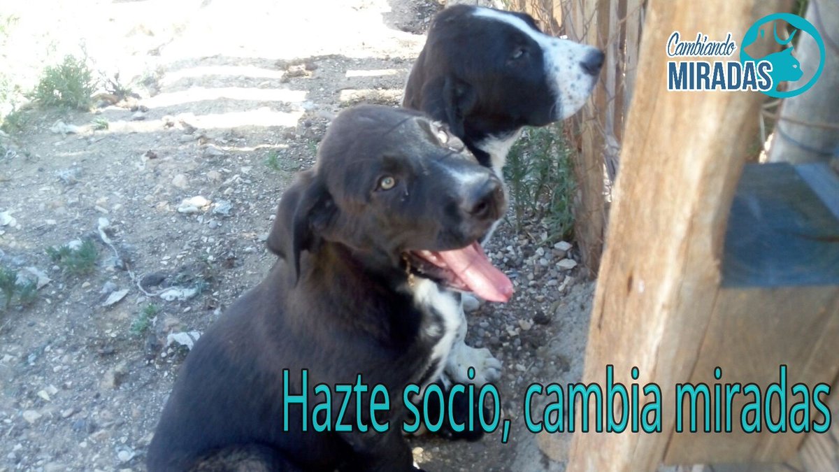 CambiandoMirada's tweet photo. Hazte socio! https://t.co/jeAv7gU8sk