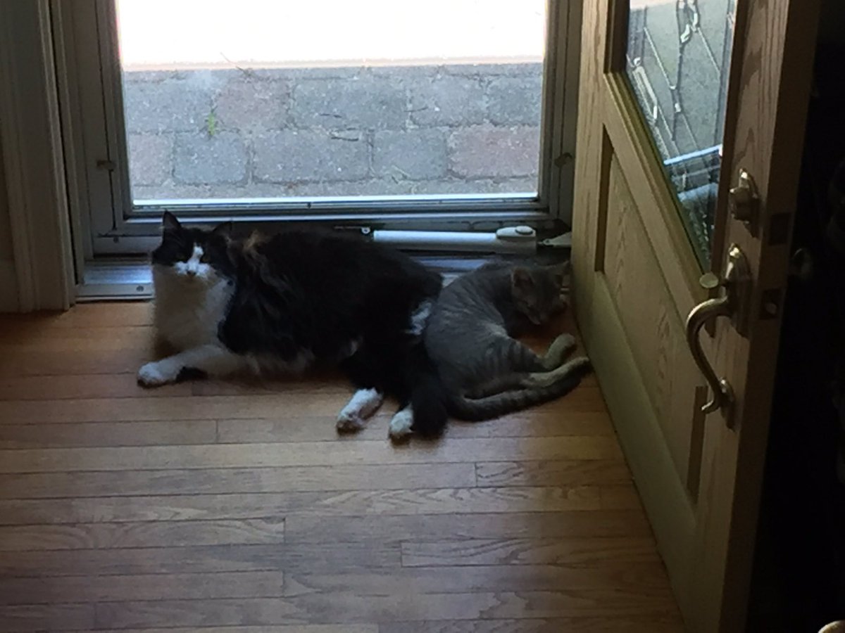 obituu's tweet photo. #buttcuddle https://t.co/McnIy06J9h