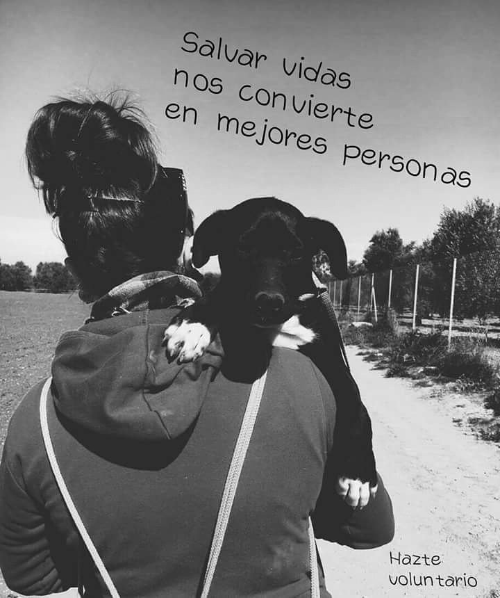CambiandoMirada's tweet photo. Ayúdanos! https://t.co/wdlC8Sea6W