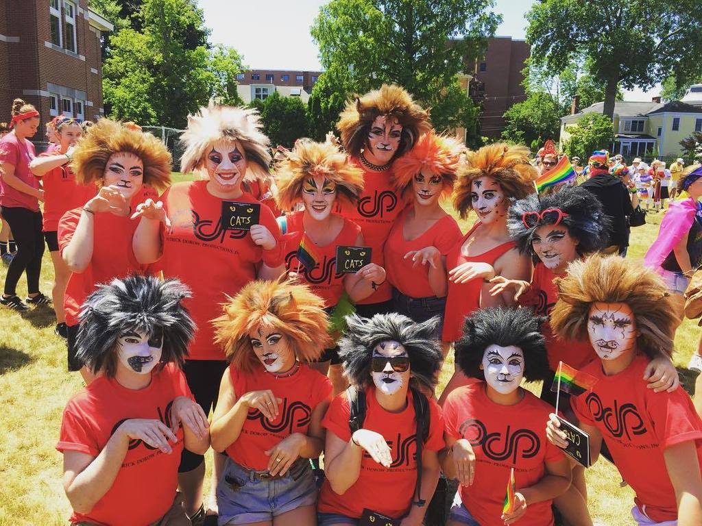 pdp_inc's tweet photo. Kitties getting ready to march in the parade!!! #pdp #pdpled #portsmouthpride2016 #portsmouth #pride #pdpcats https://t.co/hHOzhXBQk5
