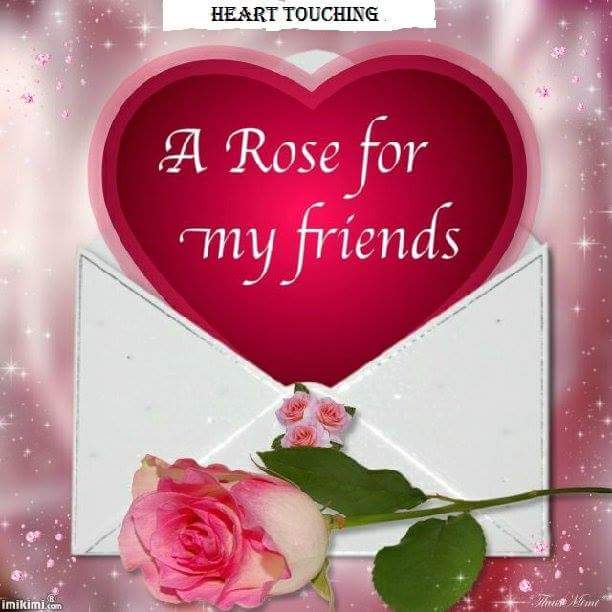 Dawn Graham (@dawngraham57) on Twitter photo 