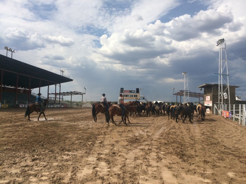 Our SW U.S. Limo Driver is TRULY having a great time <a href="/RodeoDeSantaFe/">Rodeo De Santa Fe</a>. He'll send in the clowns 1 more time tonight!