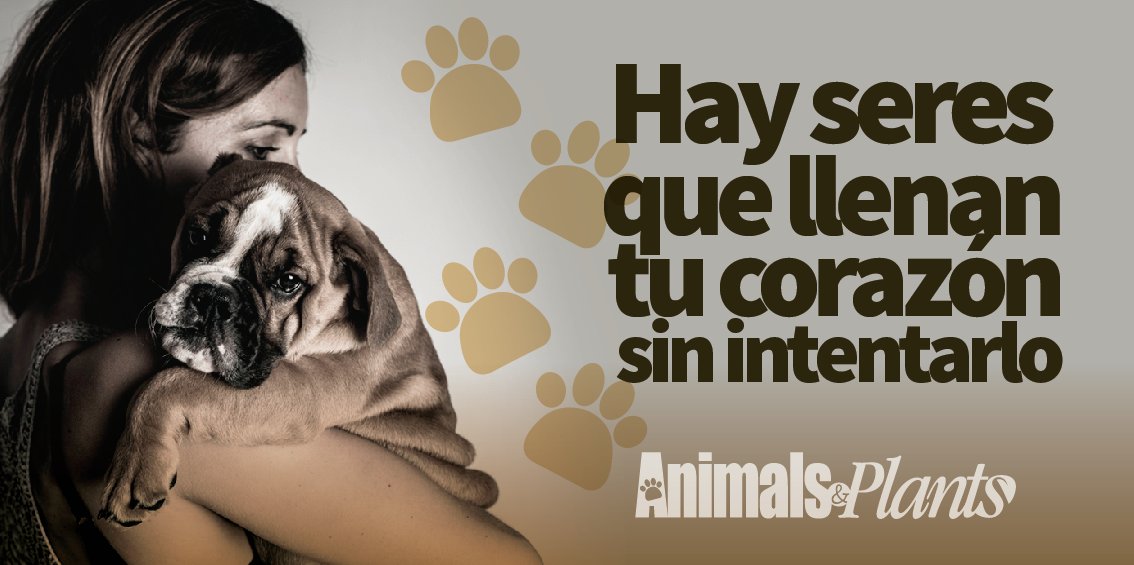 ¡Nuestros corazones están llenos de huellas de amor!
#AnimalsAndPlants #AmigosConPatas