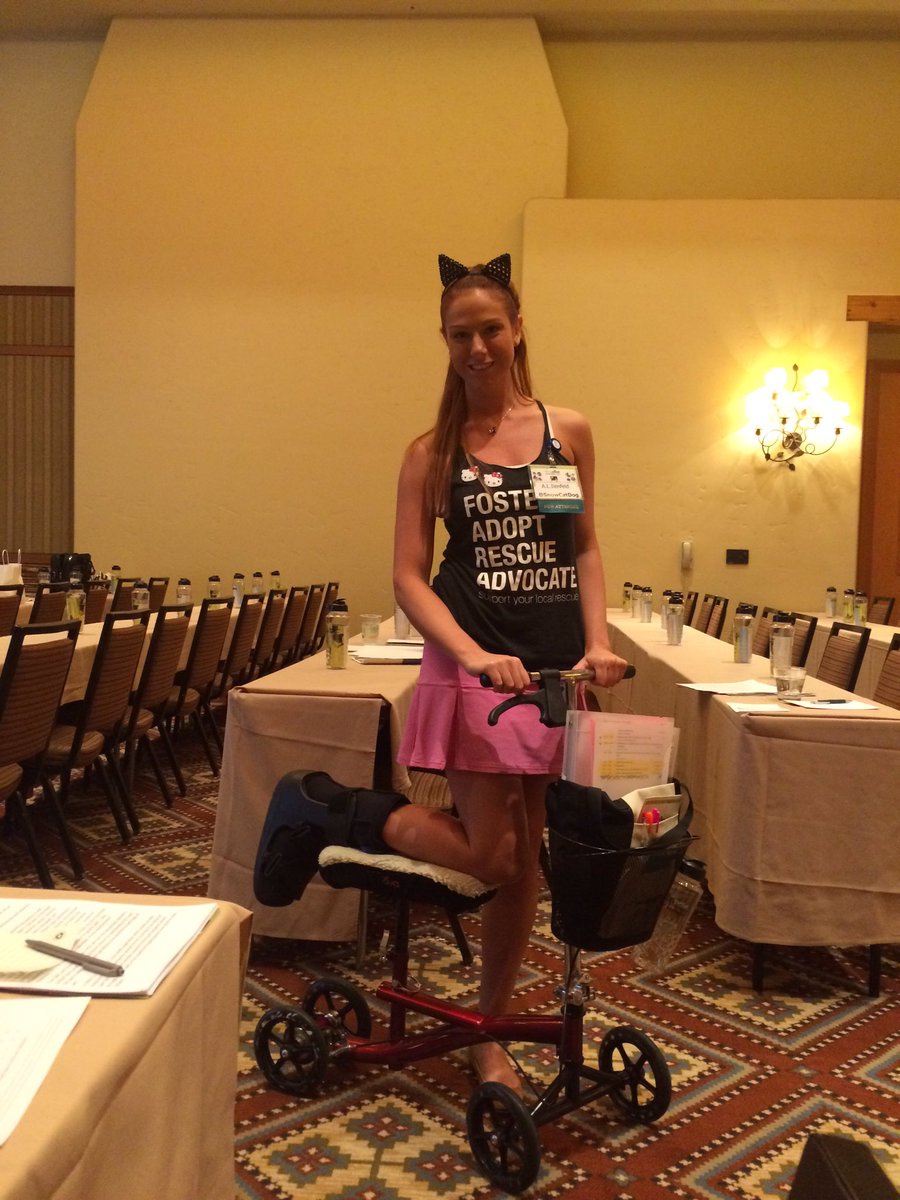 SnowCatDog's tweet photo. @BlogPaws @WomenInPetIndus @pawTree @DrBuzby @APDT #APDT #DrBuzby #PawTree #WIPIN #WHERESWIPIN https://t.co/I6JkgUeYp2