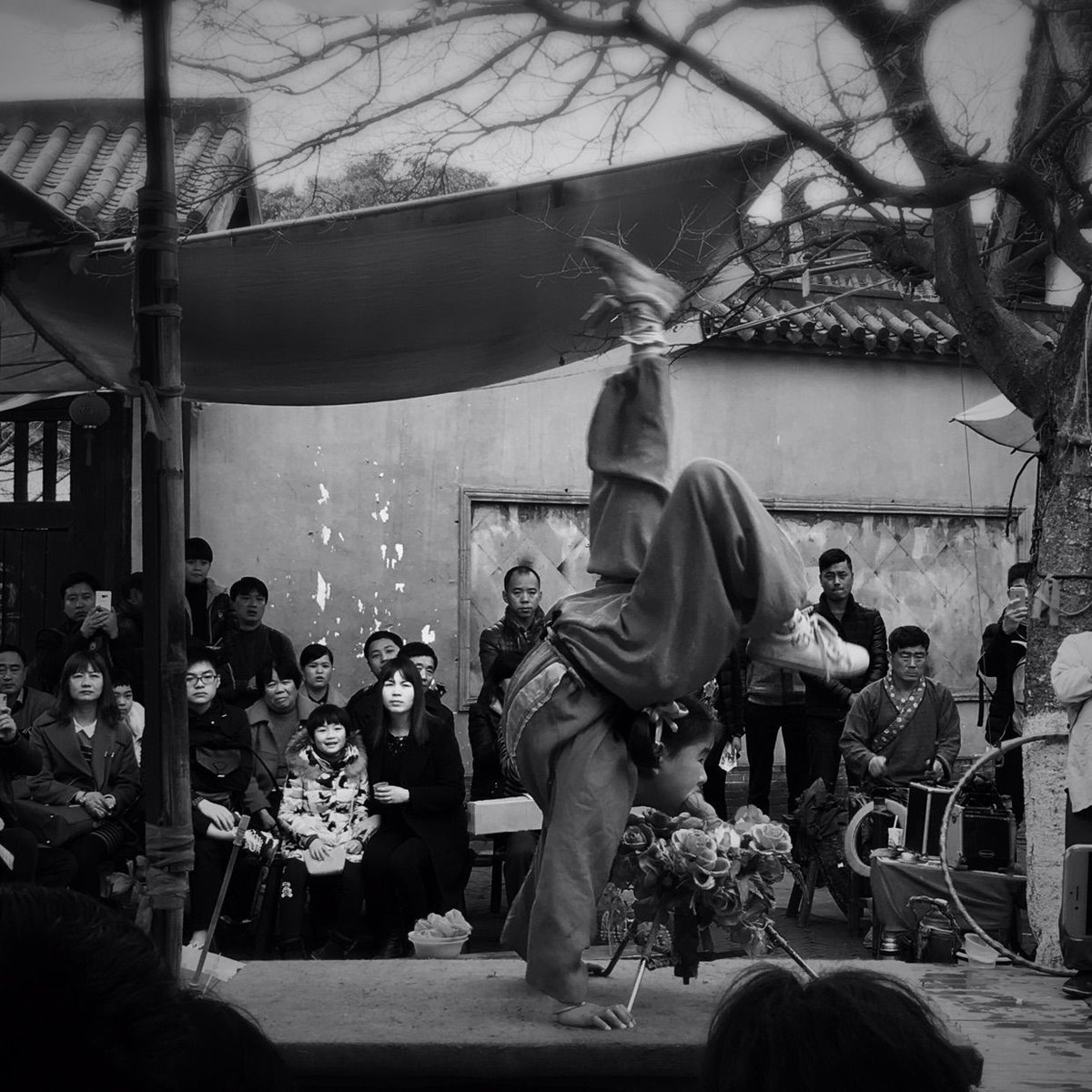 Vissify Co. tweet media