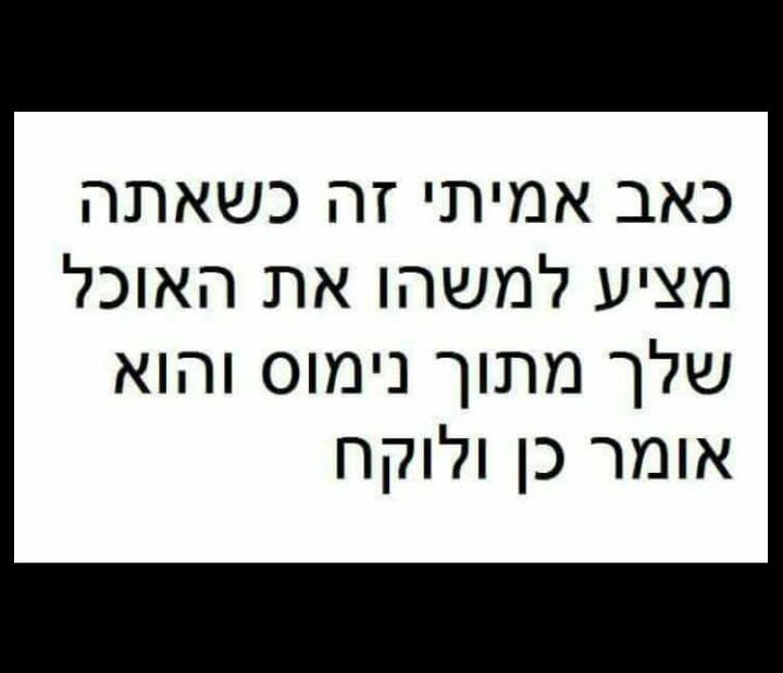 מתן  נשיא tweet media