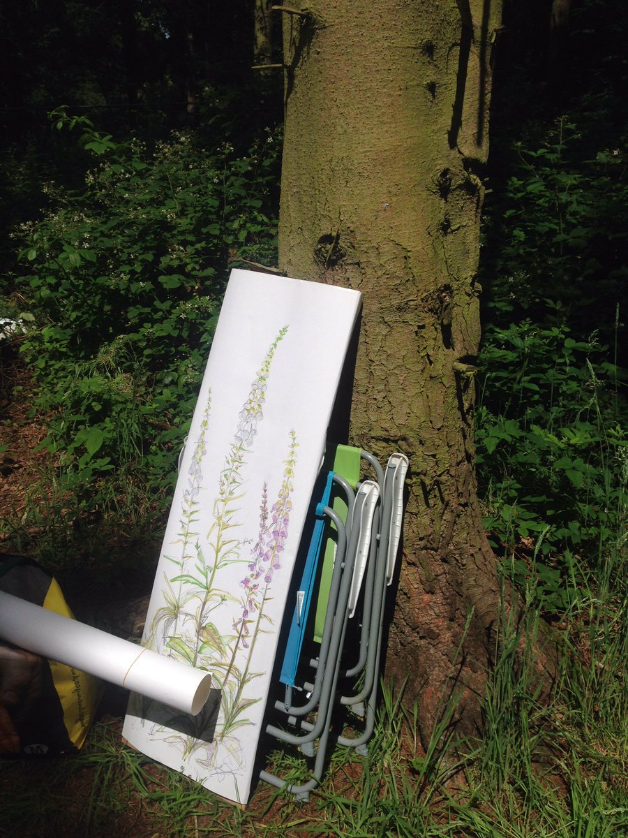jane_hindmarch's tweet photo. #kombisketchtour went down to the woods... Wild and wonderful! #forrestrycommission #30DaysWild #foxgloves https://t.co/uwdyf1gY9M