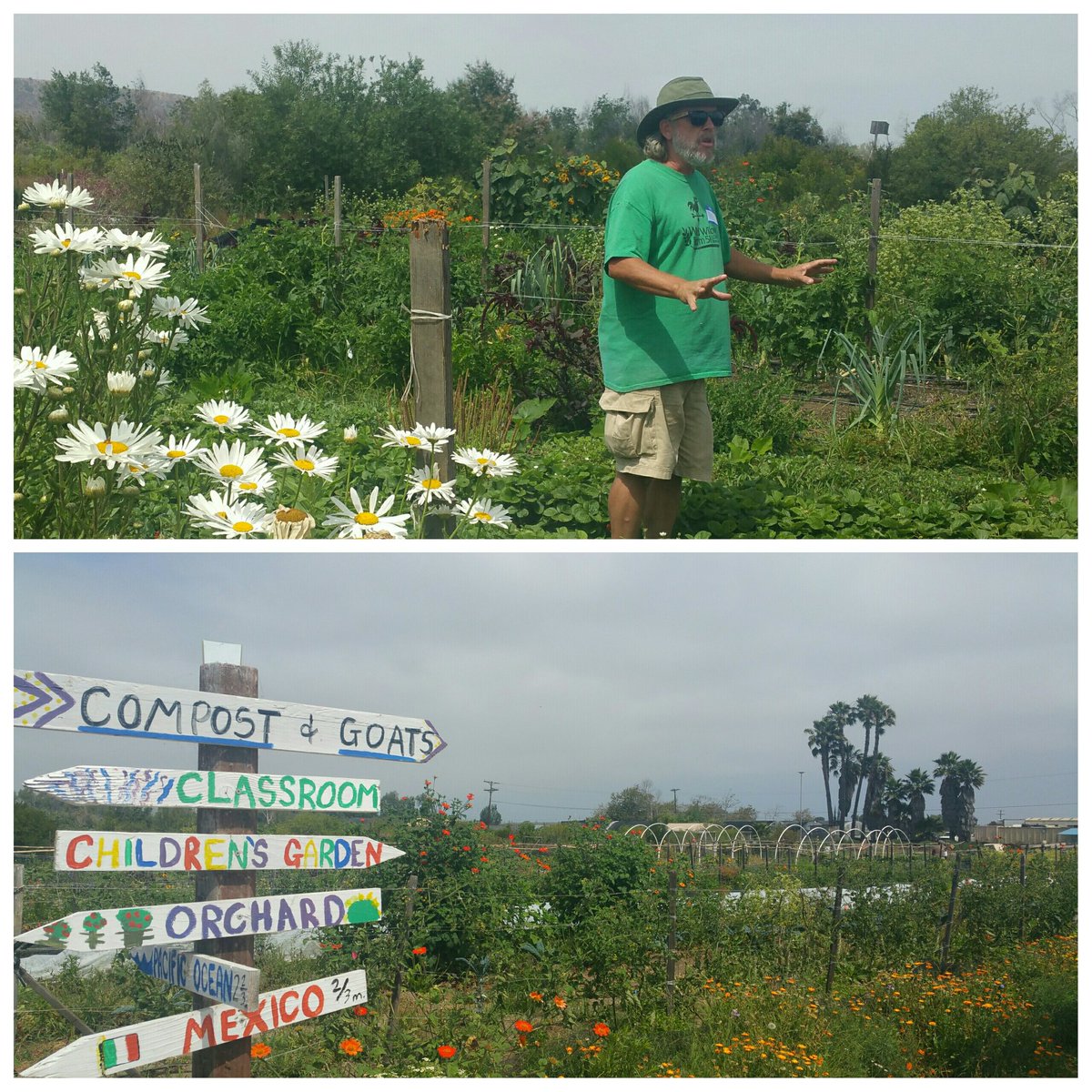johamilton1964's tweet photo. Learning about healthy #soil  @WildWillowFarm. Inspiration for our #schoolgarden @ChulaHills! #cvhsummerlearning https://t.co/RlxFRoCJKX