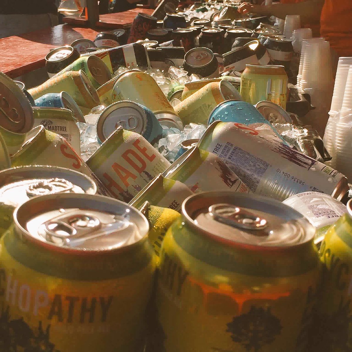 CavBeerOH's tweet photo. @cincybeerfest Canival @WashingtonPark today! Join us for #truecraftbeer from 15 of our breweries. Cheers! https://t.co/811nwpVxBg