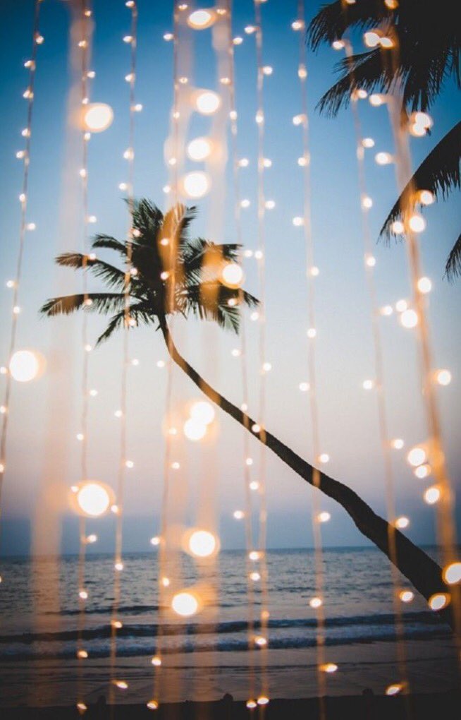 OceanObsessions's tweet image. Lets go to the beach