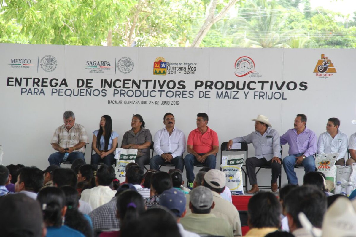 Entrega de apoyos PIMAF de la @SAGARPA_mx a 1,774  productores del municipio de #Bacalar