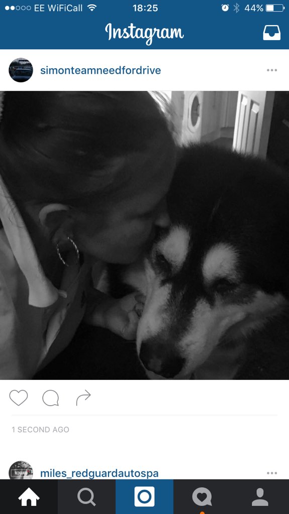 TNS_GRIPS's tweet photo. @OMGitsAliA @YouTube  meet our Tanya and our 12 stone Alaskan malamute maxi https://t.co/PNanr4osXN