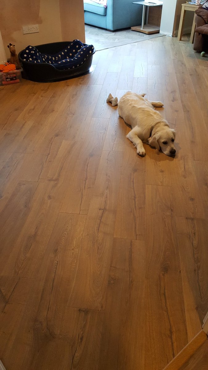 A_OHara1's tweet photo. @QuickStepFloors impressive ultra laid on timbermate xl makes a great feel underfoot #Quickstepmasterinstaller https://t.co/1dSLDF7zxX