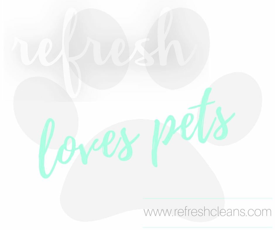 refreshcleans's tweet image. Your pets are our clients too! Check out our options for your furry friends. #brazoriacounty