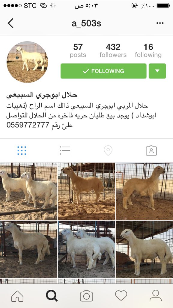 ksa34569's tweet photo. حساب طليان فاخره https://t.co/uJVSxnpkGW