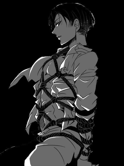 Levi looks at the person that had tied him up. "Why the hell did you tie me up like this?" {#YaoiRP, #AotRp #SnKRP }