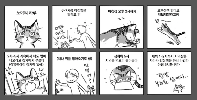 노야의 하루 