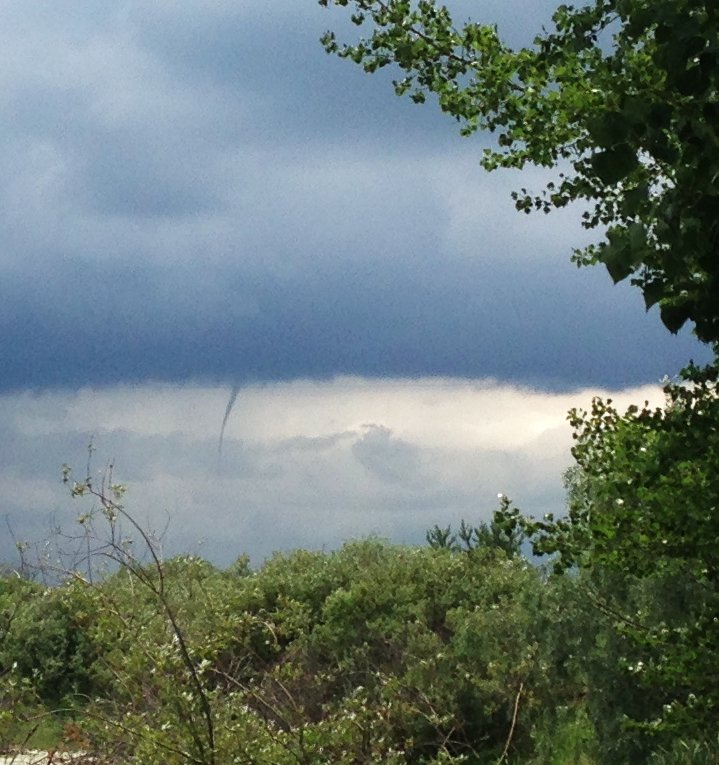 Floating Gardens tweet media