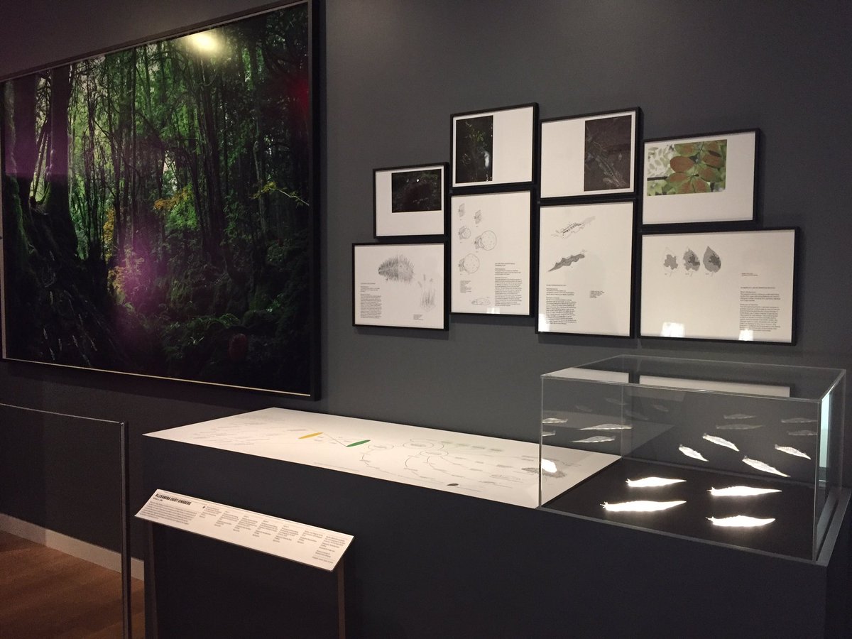 Teal Triggs (@tealtweets) on Twitter photo Pretty cool to see <a href="/RCA/">Royal College of Art</a> PhDs <a href="/Q_Shim/">Q / Kyuha Shim</a> & <a href="/alexandradaisy/">Alexandra Daisy Ginsberg</a> showing next to each other <a href="/cooperhewitt/">Cooper Hewitt</a> #designtriennial Pretty cool to see <a href="/RCA/">Royal College of Art</a> PhDs <a href="/Q_Shim/">Q / Kyuha Shim</a> & <a href="/alexandradaisy/">Alexandra Daisy Ginsberg</a> showing next to each other <a href="/cooperhewitt/">Cooper Hewitt</a> #designtriennial