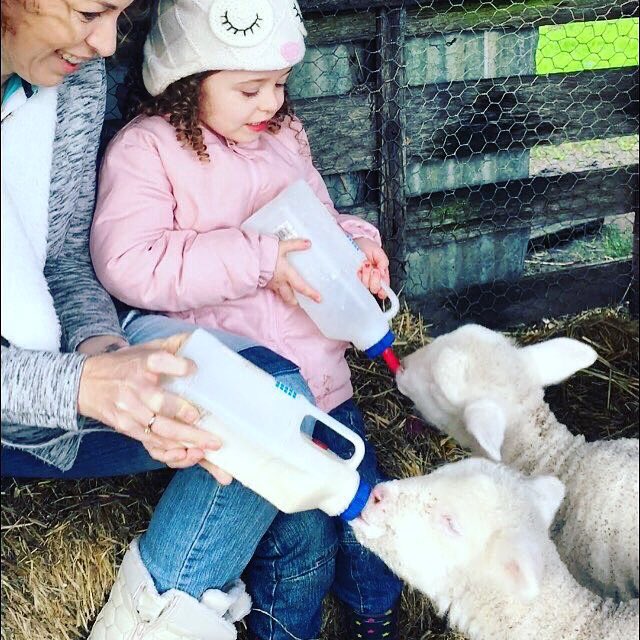 TorquayR's tweet photo. #schoolholiday #farmstay #fun @freshwatercreekcottages https://t.co/nr0xVTYfFN https://t.co/dFn7mQhGDB