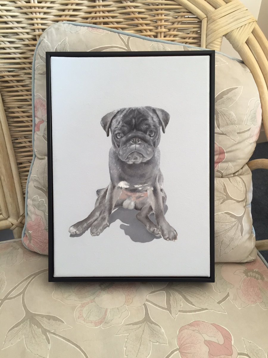 martjohn79's tweet photo. Eddy picture all framed. #pug #puglife #pugstagram #oiloncanvas #painting #framed #painting https://t.co/UitPDq4D08